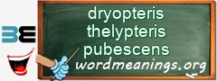 WordMeaning blackboard for dryopteris thelypteris pubescens